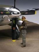 Zoukei Mura 1/32 Scale P-51D Battlefield Artist SWS04-F05